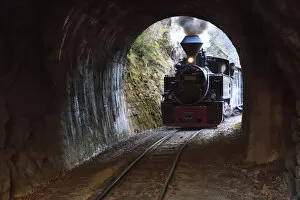 Romania Collection: Europe, Romania, Viseu de Sus. Carpathian Forest Steam train. Vaser Valley Railway