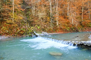 Romania Gallery: Europe, Romania, Viseu de Sus. Carpathian Forest, Vaser River