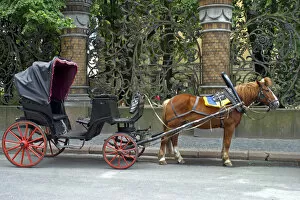 Europe, Russia, St. Petersburg. Horsedrawn Carriage awaits on an avenue in St. Petersburg