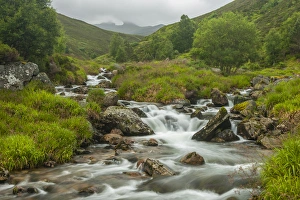Images Dated 21st June 2014: Europe, Scotland, Cairngorm National Park