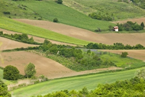 Images Dated 6th May 2007: Europe, Serbia