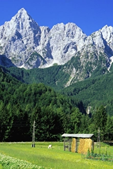 Joan Loeken Prints: Europe, Slovenia, Julian Alps