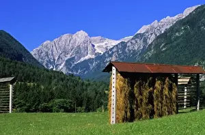 Joan Loeken Prints: Europe, Slovenia, Julian Alps, Hay shed in the forested hills