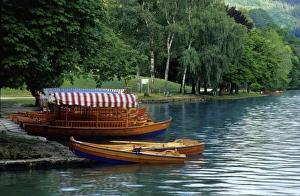 Row Boat Prints: Europe, Slovenia, Lake Bled