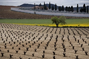 Images Dated 17th April 2005: Europe, Spain
