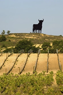 Images Dated 10th May 2006: Europe, Spain
