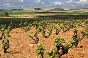 Images Dated 8th May 2006: Europe, Spain