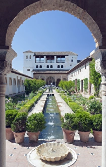 Images Dated 24th May 2012: Europe, Spain, Andalusia, Granada, Alhambra, Palacio del Generalife
