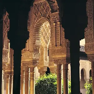 Court Yard Prints: Europe, Spain, Granada. Shadow and light play off the marble columns in the Court of the Lions