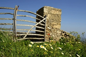 Images Dated 22nd August 2012: Europe, Spain, Minorca (aka Menorca). Bull Hill (aka Mounte Toro), Minorcas highest point