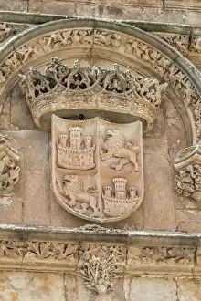 Lion Prints: Europe, Spain, Salamanca, relief sculpture of crest on university wall