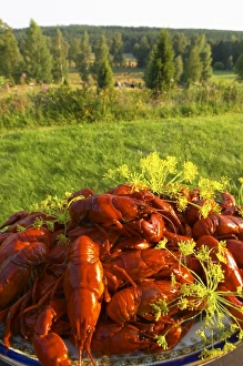 Europe, Sweden