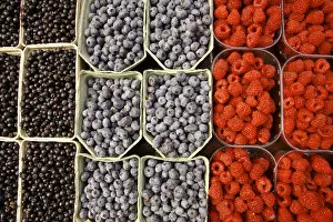 Europe, Sweden, Stockholm. Display of different berries at the Outdoor Market. Credit as