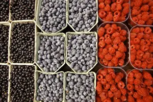 Lifestyle Prints: Europe, Sweden, Stockholm. Display of different berries at the Outdoor Market. Credit as