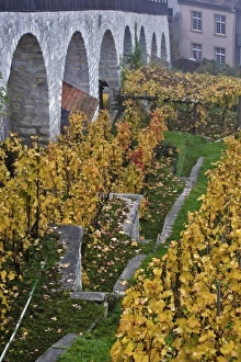 Images Dated 8th November 2005: Europe, Switzerland