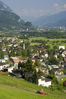 Images Dated 13th June 2006: Europe, Switzerland