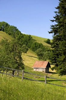 Images Dated 14th June 2006: Europe, Switzerland