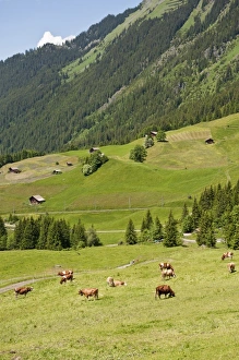 Europe, Switzerland