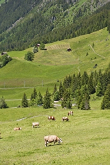 Europe, Switzerland