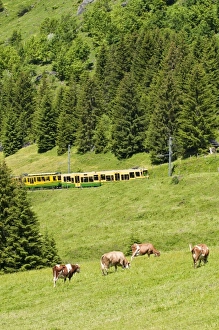 Europe, Switzerland