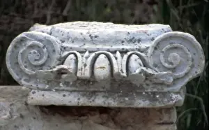 Nancy Noble Gardner Prints: Europe, Turkey, Ephesus. Roman Ionic column fragment using Greek Ionic capital. Credit as