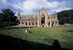Europe, Wales