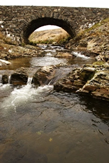 Images Dated 10th April 2007: Europe, Wales