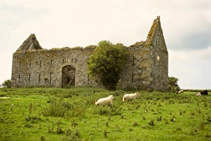 Images Dated 21st May 2009: Europe, Wales