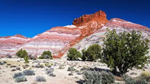 Russ Bishop Prints: Evening light on the Cockscomb, Grand Staircase-Escalante National Monument, Utah, USA