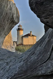 Bullards Beach State Park Prints: Evening light through drift logs Coquille River Lighthouse, Bullards Beach State Park