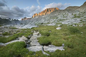 Subalpine Prints: Evening light over Titcomb Basin, Bridger Wilderness, Wind River Range, Wyoming