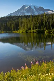 Luminous Prints: Evening; Mount Rainier; Reflection Lake; Mount Rainier National Park; Washington; USA