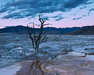 Volcanic Prints: evening; terraces; Mammoth Hot Springs; Yellowstone National Park; Wyoming; USA