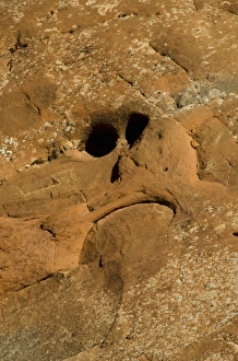 Images Dated 4th April 2012: Face in Sandstone near Tunnel Arch, Arches National Park, Utah, US