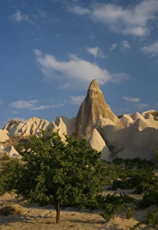 Images Dated 28th September 2005: Fairy Chimneys and Volcanic Rock Formations Cappadoccia, Turkey