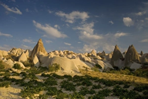 Images Dated 28th September 2005: Fairy Chimneys and Volcanic Rock Formations Cappadoccia, Turkey