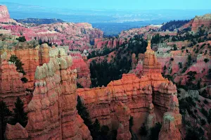 Hoodoo Prints: Fairyland, Bryce Canyon National Park, Utah, USA