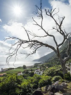 Faja dos Vimes. Sao Jorge Island, Azores, Portugal