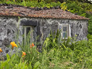 Images Dated 30th May 2019: Faja do Ouvidor. Sao Jorge Island in the Azores, an autonomous region of Portugal