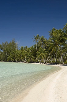 Images Dated 27th October 2006: Fakarawa, Tuamotu Archipelago, French Polynesia