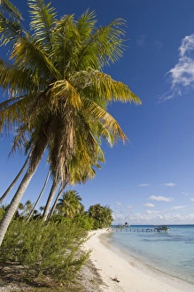 Images Dated 27th October 2006: Fakarawa, Tuamotu Archipelago, French Polynesia