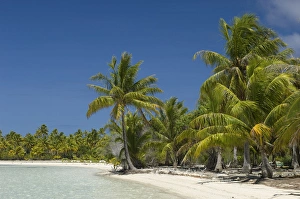 Images Dated 27th October 2006: Fakarawa, Tuamotu Archipelago, French Polynesia