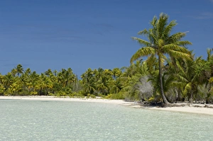 Images Dated 27th October 2006: Fakarawa, Tuamotu Archipelago, French Polynesia