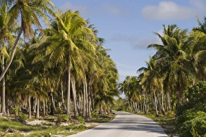 Images Dated 27th October 2006: Fakarawa, Tuamotu Archipelago, French Polynesia