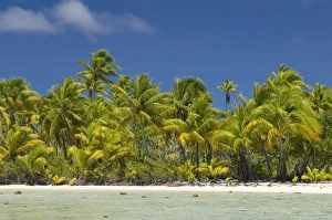 Images Dated 27th October 2006: Fakarawa, Tuamotu Archipelago, French Polynesia