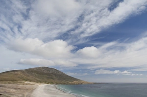Images Dated 24th March 2010: Falkland Islands, West Falkland, Saunders Island. Scenic coastline