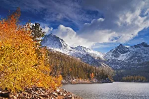 Sierra Prints: Fall aspens under Sierra peaks from South Lake