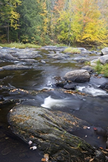 Brook Prints: Fall on Big Wilson stream in Elliotsville Maine USA