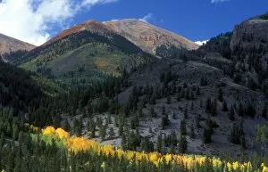 Fall color at base of Red Mountain in Colorado