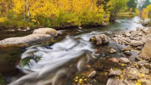 Fall color along Bishop Creek, Inyo National Forest, California USA